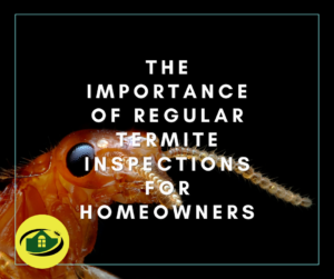 The Importance of Regular Termite Inspections for Homeowners